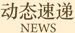 动态速递
