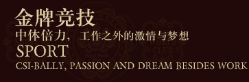 金牌竞技