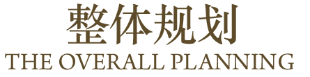 整体规划